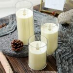 Acrylic Fiber Glass with Faux Wick Flameless LED Candles with Remote & Timer